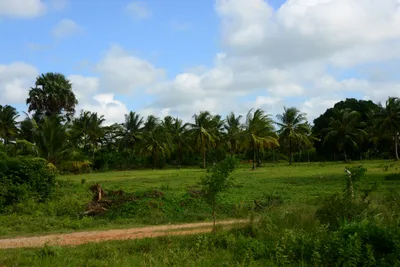 DSC_8062 (Large).JPG